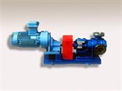 山東NYP內環式高粘度泵